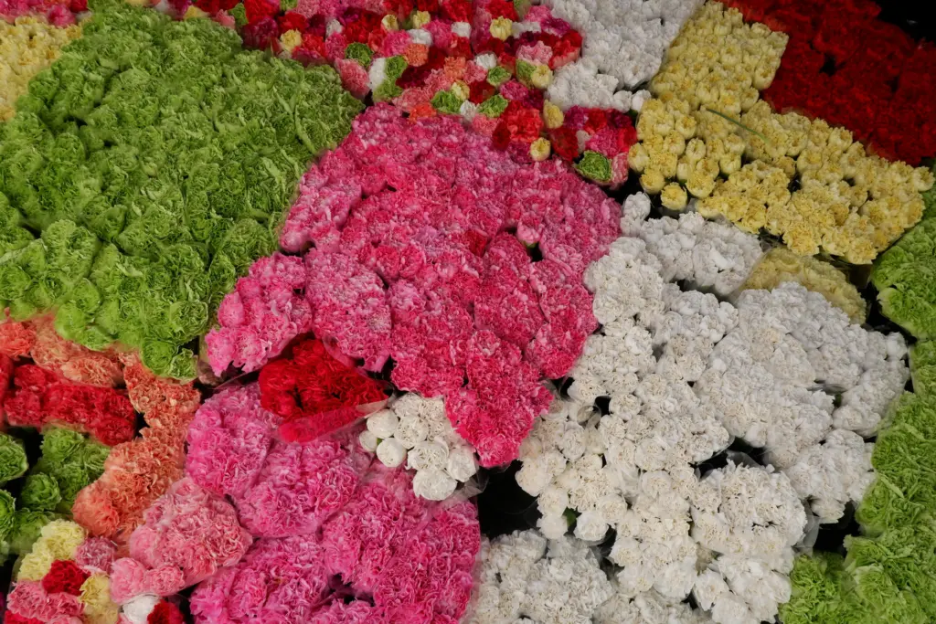 nosotros-flores-lopez